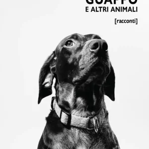 Direttamente Dal Produttore Guappo e altri animali