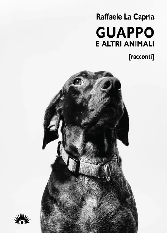 Direttamente Dal Produttore Guappo e altri animali
