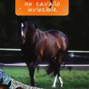 Popolare Un cavallo invincibile. Storie di cavalli. Ediz. illustrata