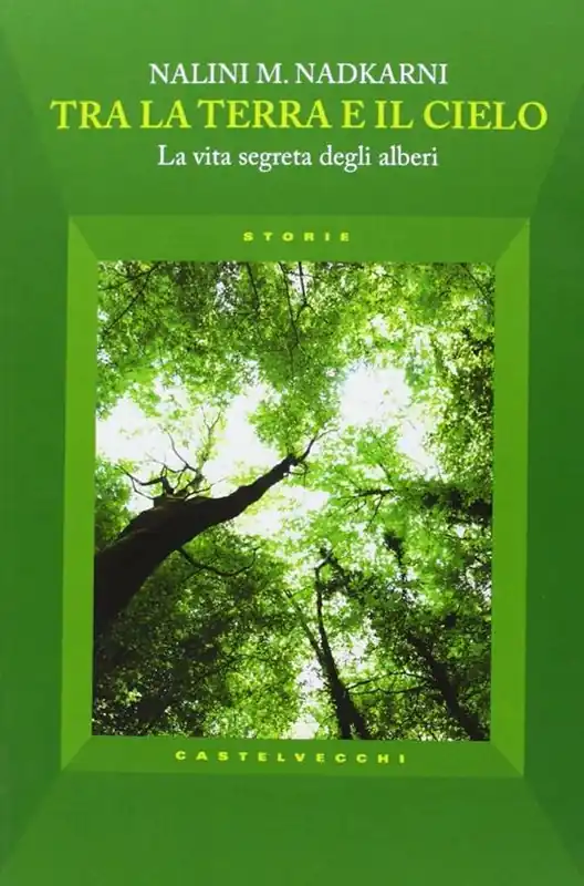 Tra la terra e il cielo. La vita segreta degli alberi Più Venduto