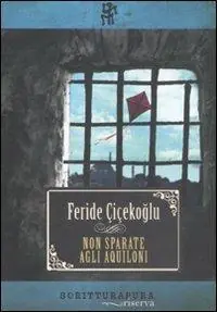 Non sparate agli aquiloni Promozione