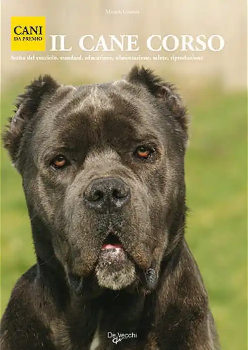 Cane corso Novità